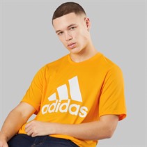 adidas Mens Creator T-Shirt Collegiate Gold
