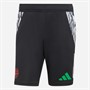 adidas Mens AFC Arsenal Champions League Training Shorts Black