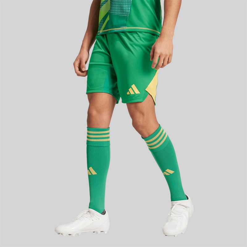 adidas Mens Tiro 24 Pro Goalkeeper Shorts Team Green