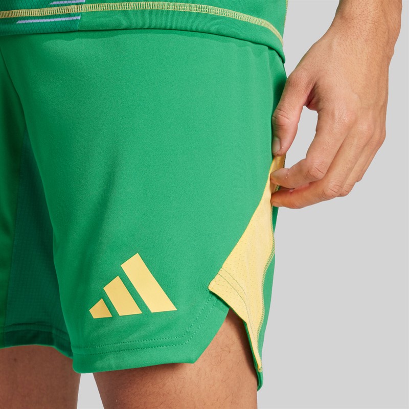 adidas Mens Tiro 24 Pro Goalkeeper Shorts Team Green