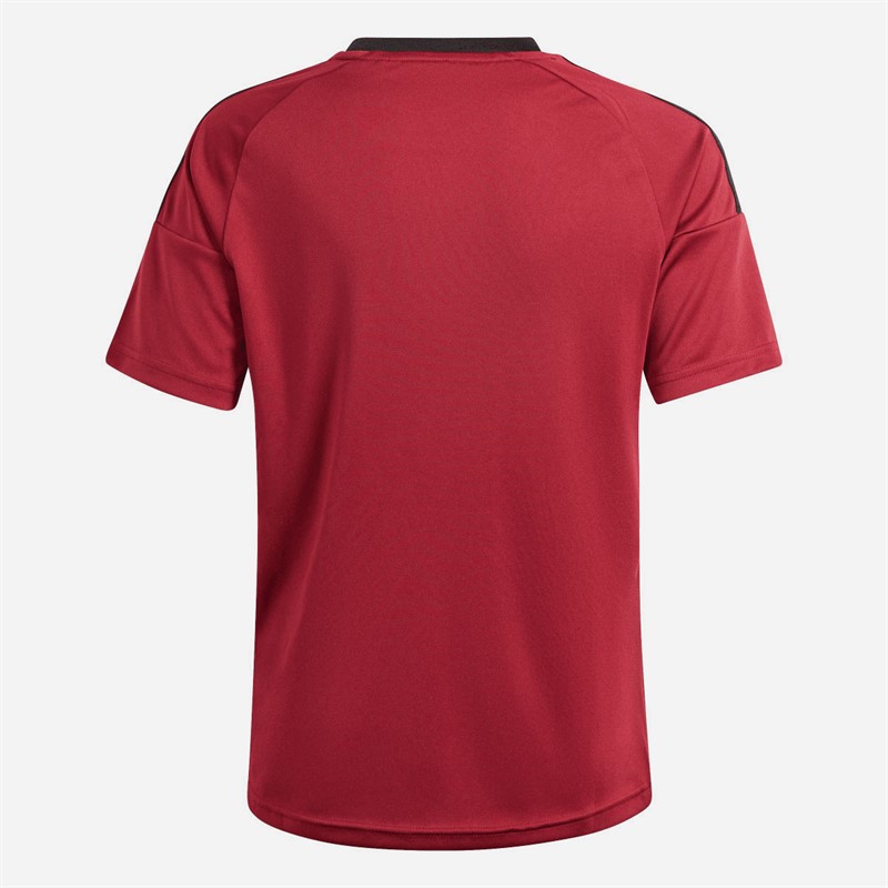 adidas Junior Boys RBFA Belgium 24/25 Home Fan Jersey Team Coll Burgundy 2