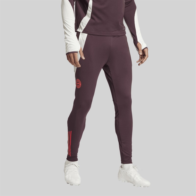 adidas Herren FCB FC Bayern München Trainingshose Shadow Maroon/Rot