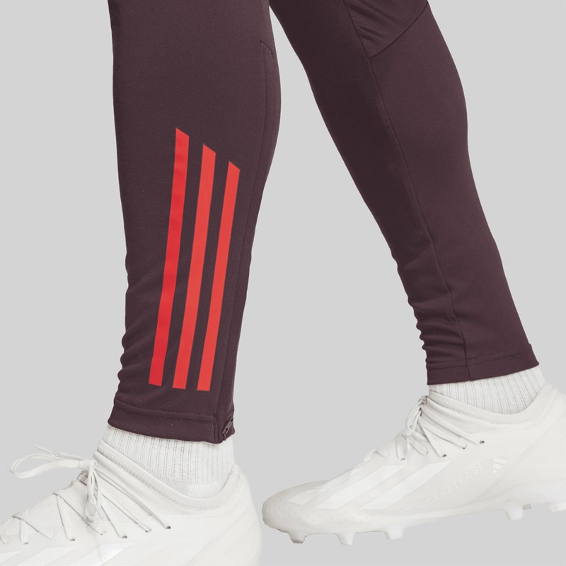 adidas Herren FCB FC Bayern München Trainingshose Shadow Maroon/Rot