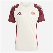 adidas Herren FCB FC Bayern München Champions League Trainings Trikot Linen/Shadow Red