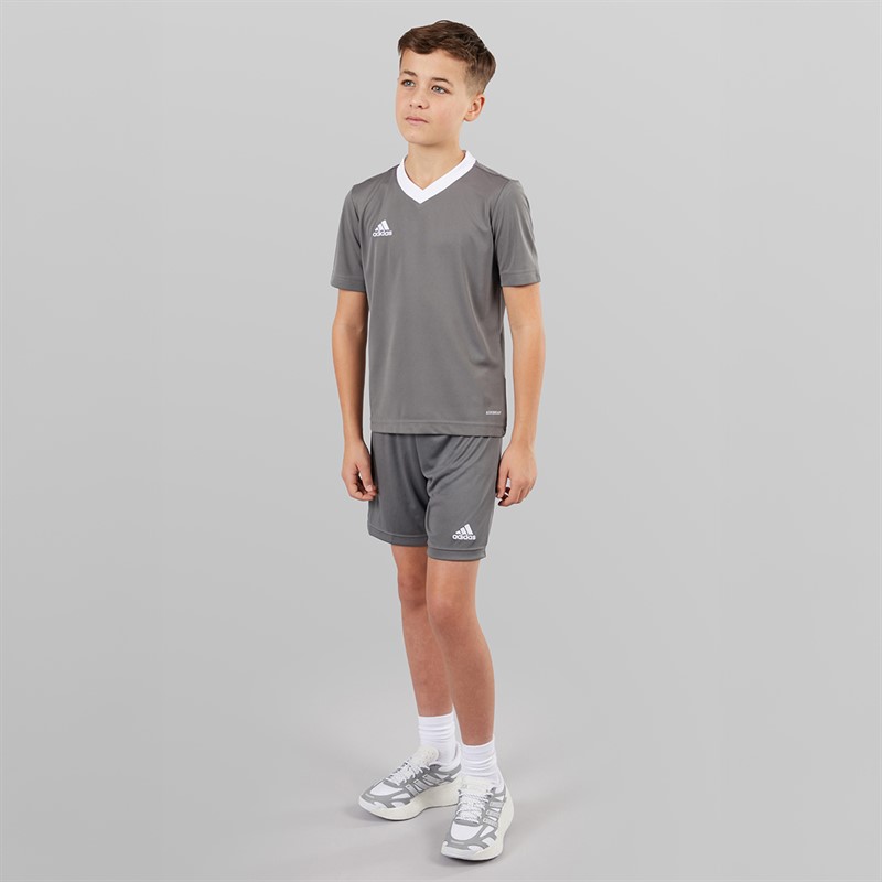 adidas Junior Entrada 22 Shorts Team Grey Four