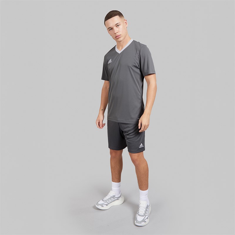 adidas Mens Entrada 22 T-Shirt Team Grey Four
