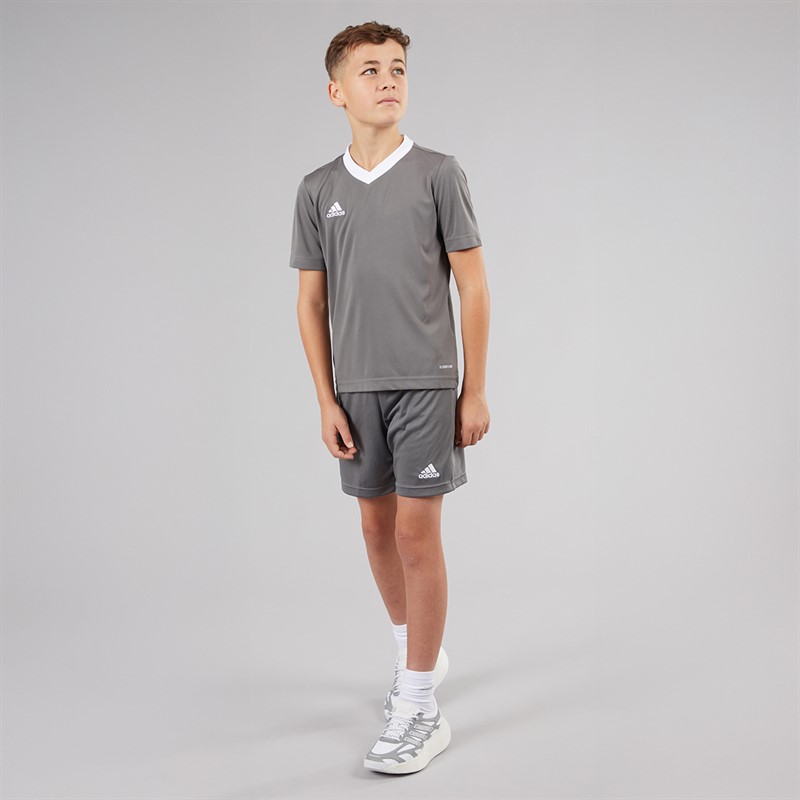adidas Junior Entrada 22 T-Shirt Team Grey Four