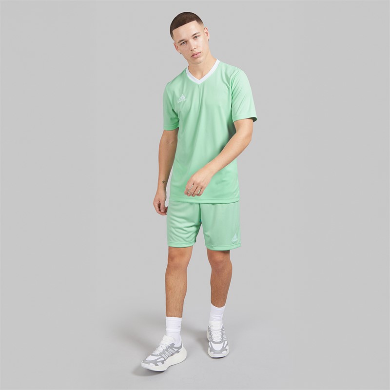 adidas Mens Entrada 22 T-Shirt Clear Mint
