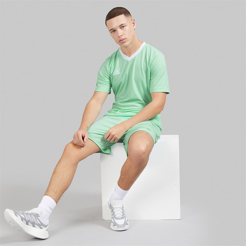 adidas Mens Entrada 22 T-Shirt Clear Mint
