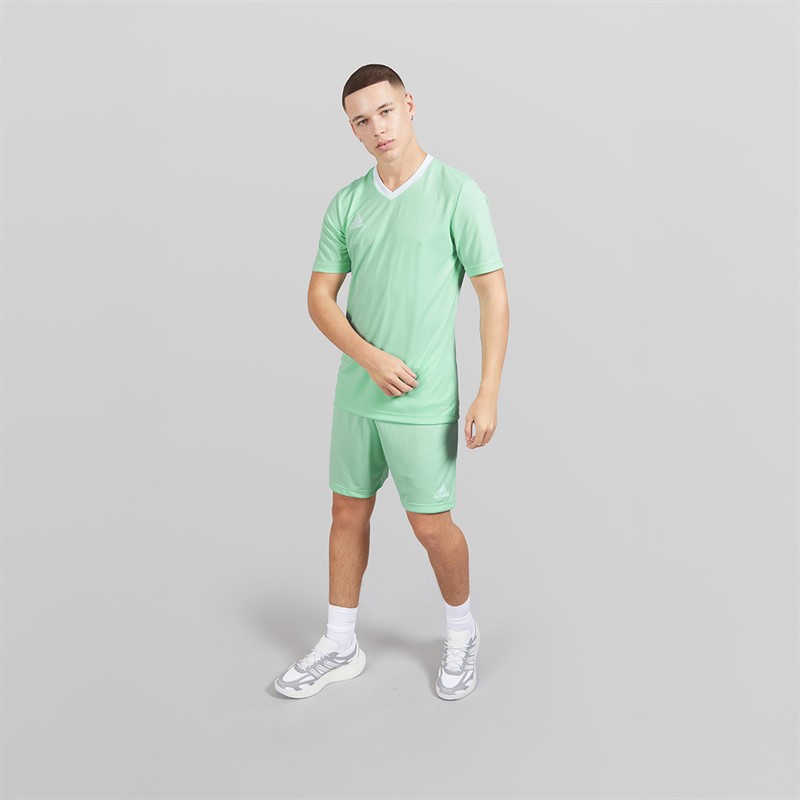 adidas Mens Entrada 22 Shorts Clear Mint