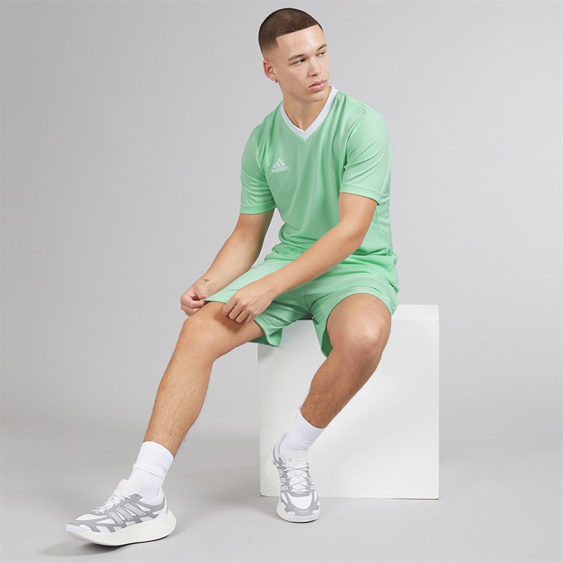 adidas Mens Entrada 22 Shorts Clear Mint