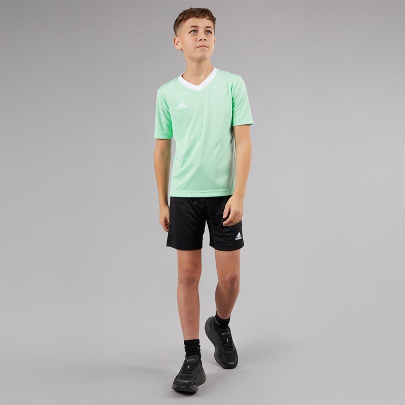 adidas Junior Entrada 22 T-Shirt Clear Mint