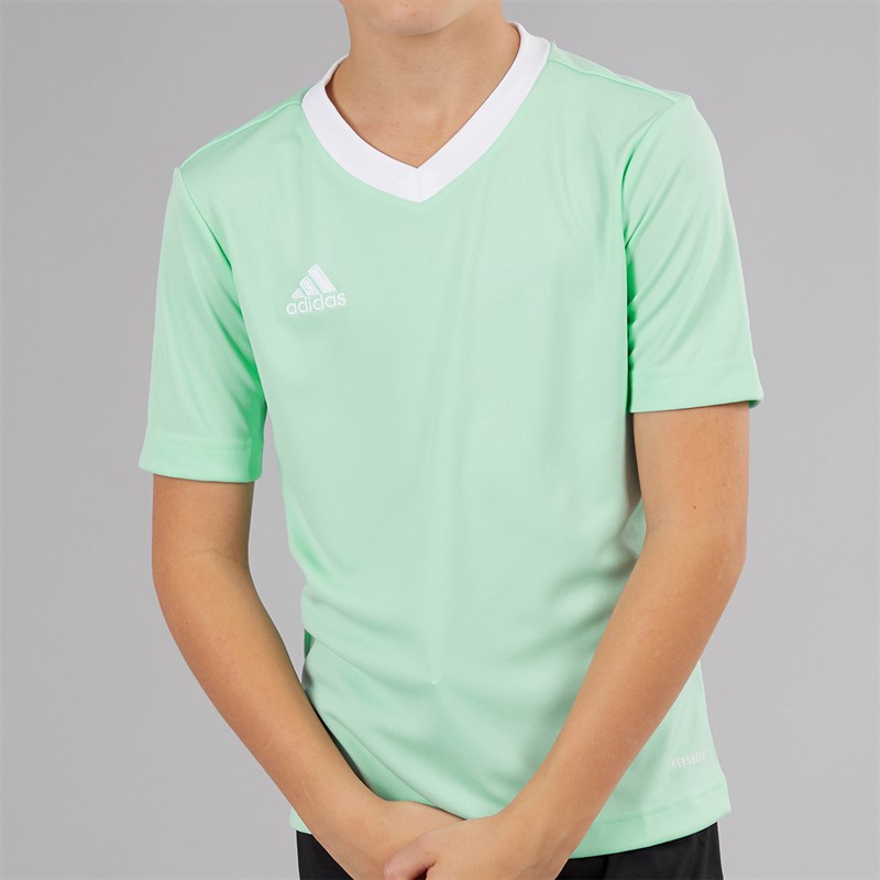 adidas Junior Entrada 22 T-Shirt Clear Mint