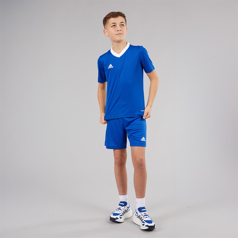 adidas Junior Entrada 22 T-Shirt Team Royal Blue