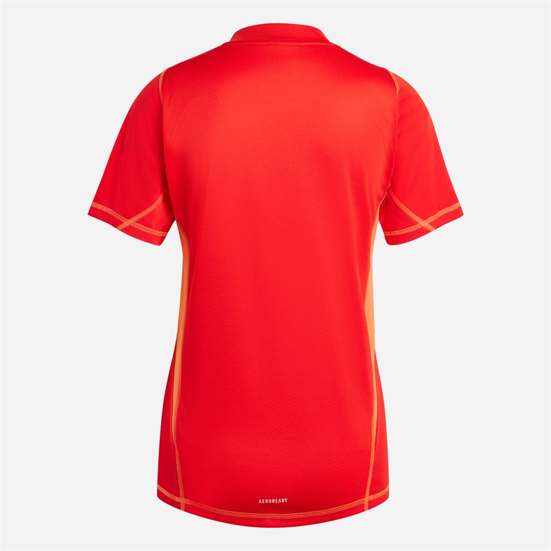 adidas Womens Tiro 24 Pro Goalkeeper Jersey Red