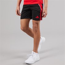 adidas Junior Boys Tiro 24 Training Shorts Black/Pure Ruby