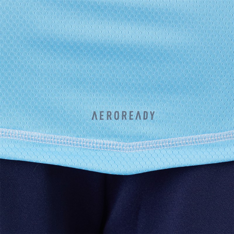 adidas Herren Tiro 24 Pro Torwart Trikot Blau