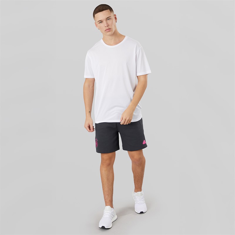 adidas Spodnie podróżne DFB Niemcy 24 dla niego kolor Carbon