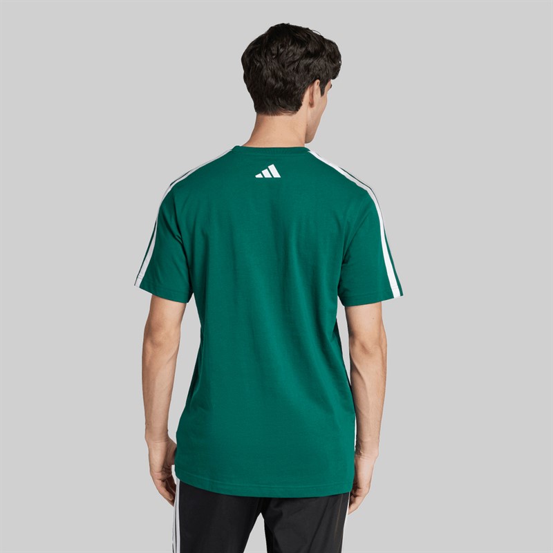 adidas Herren Codes College Linear Grafik T Shirt Collegiate Green
