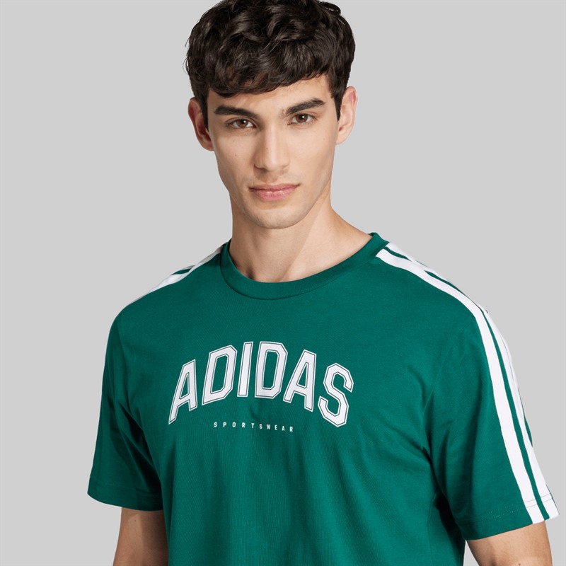 adidas Herren Codes College Linear Grafik T Shirt Collegiate Green