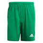 adidas Herren Squadra 21 Shorts Team Green/Weiß