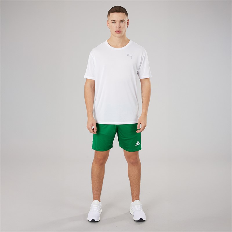 adidas Heren Squadra 21 Shorts Team Green/Wit
