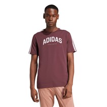 adidas Herren Codes Collegiate Linear Grafik T Shirt Aurora Ruby