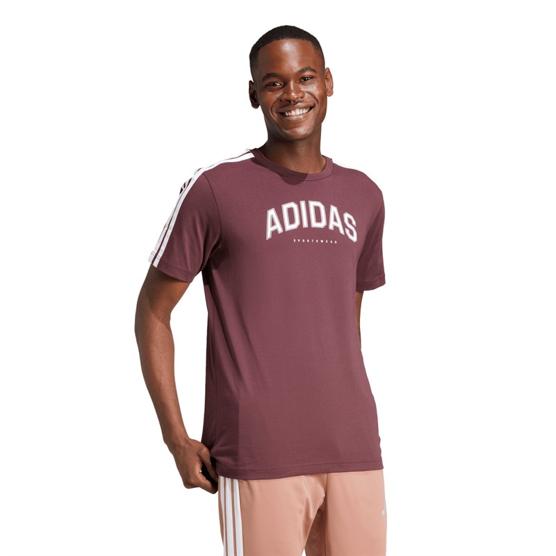 adidas Herren Codes Collegiate Linear Grafik T Shirt Aurora Ruby