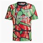 adidas Junior Boys AFC Arsenal FC 24/25 Pre Match Jersey Red/Black
