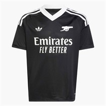 adidas Junior AFC Arsenal FC 24/25 Third Goalkeeper Jersey Black