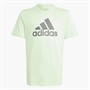 adidas Junior Essentials Big Logo T-Shirt Silver Green Spark/Charcoal