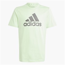adidas Junior Essentials Big Logo T-Shirt Silver Green Spark/Charcoal