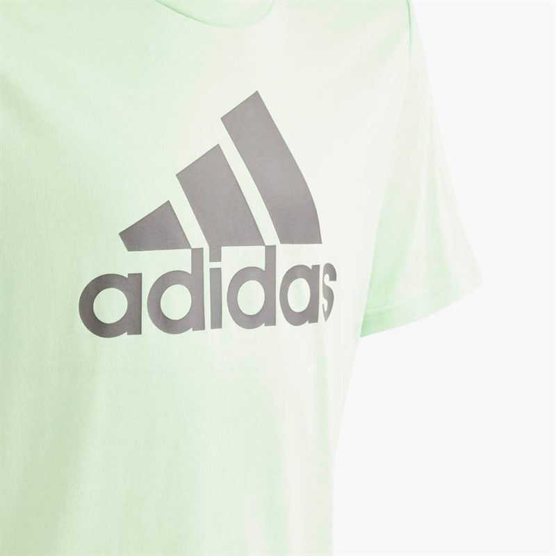 adidas Junior Essentials Big Logo T-Shirt Silver Green Spark/Charcoal