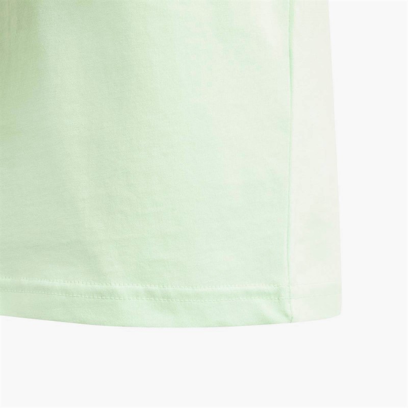 adidas Junior Essentials Big Logo T-Shirt Silver Green Spark/Charcoal