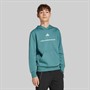 adidas Junior Boys Slogan Fleece Hoodie Preloved Teal
