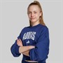 adidas Junior Girls Seasonals Essentials Collegiate Logo Sweatshirt Dark Blue/White