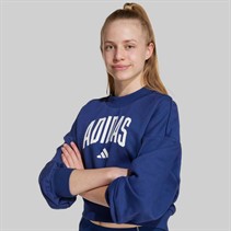 adidas Junior Girls Seasonals Essentials Collegiate Logo Sweatshirt Dark Blue/White