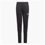 adidas Junior Tiro 23 Club Track Pants Black/Lucid Pink