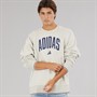 adidas Mens Collegiate Logo Sweatshirt Beige/Dark Blue