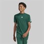 adidas Junior Boys Future Icons 3 Stripes T-Shirt Collegiate Green/White