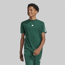 adidas Junior Boys Future Icons 3 Stripes T-Shirt Collegiate Green/White