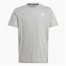 adidas Junior Boys Essentials Small Logo T-Shirt Medium Grey Heather/White