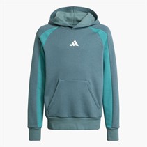 adidas Junior Boys Seasonal Essentials Colourblock Hoodie Preloved Teal/Preloved Teal/White