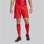 adidas Mens FCB FC Bayern Munich 24/25 Authentic Home Shorts Red