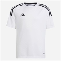 adidas Junior Drenge Campeon 23 T-shirt Hvid/Sort