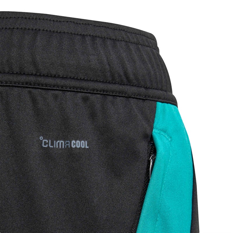 adidas Junior NZR New Zealand All Blacks Træningsshorts All Black/Pure Teal