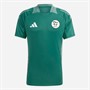adidas Herren FAF Algerien Tiro 24 Trainings Trikot Dark Green