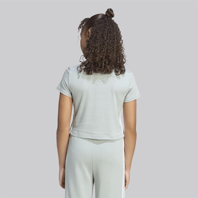 adidas Junior Mädchen Essentials T Shirt Wonder Sage/Weiß