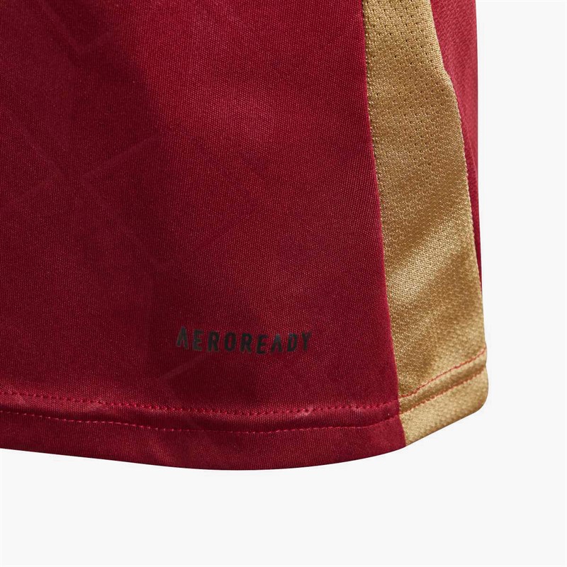 adidas Junior RBFA Belgium 2024 Home Jersey Tech Copper Blue