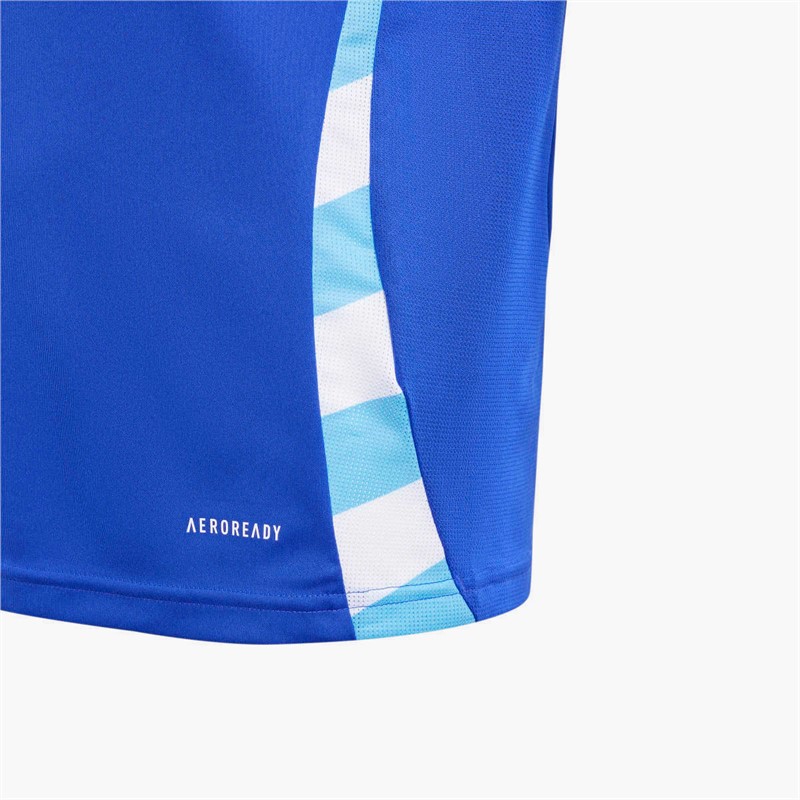 adidas Junior AFA Argentina 2024 Home Jersey Lucid Blue/Blue Burst